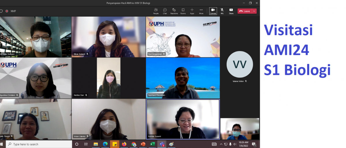 Permalink to: Audit in Pandemic